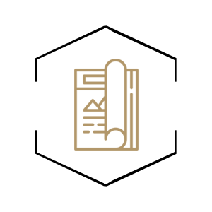 One Conseil - Ã‰DITION